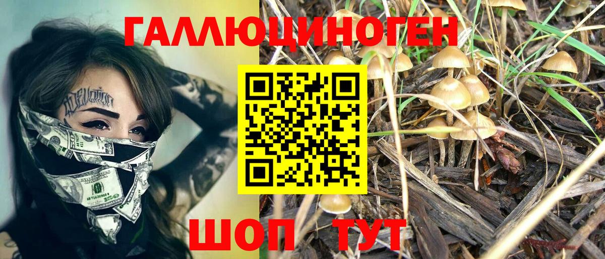 Псилоцибиновые грибы Cubensis Снежинск