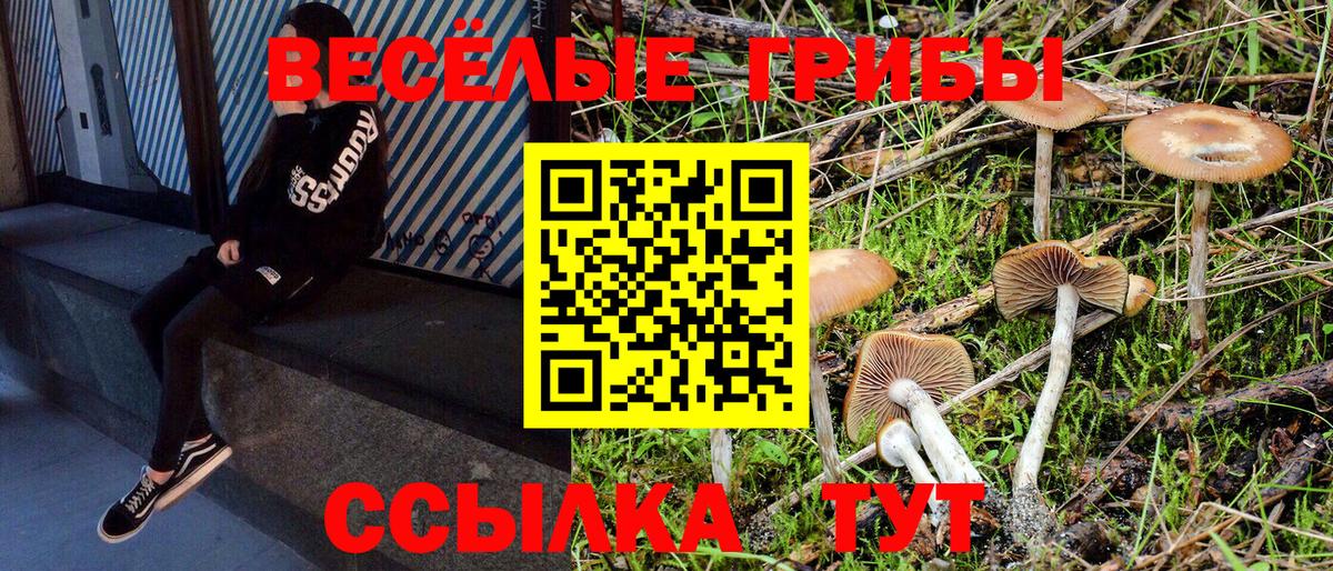 Галлюциногенные грибы Psilocybe  Галлюциногенные грибы Psilocybe  Вход с VPN  Снежинск 
