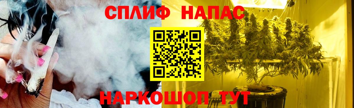 Бошки Шишки гибрид Снежинск